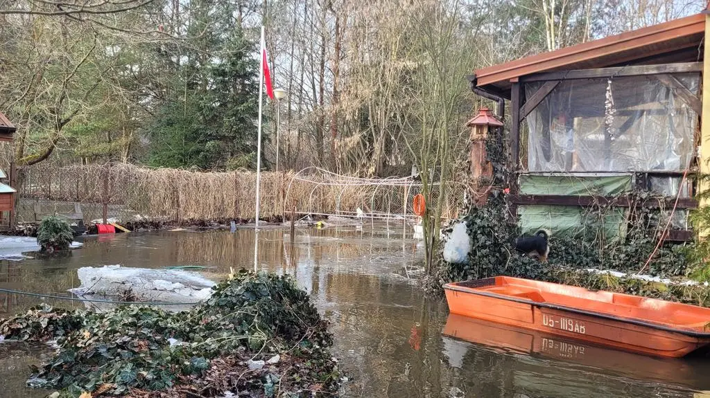 Wkra, Błędowo