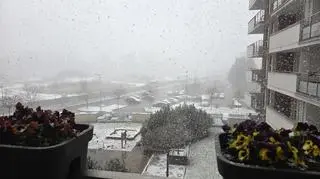 Śnieg w Olsztynie 