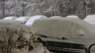 Śnieg w Gdyni, 11.01