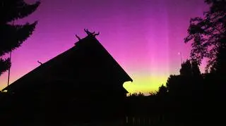 zorza