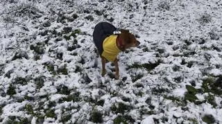 Zima, Przemyśl nad Sanem (Podkarpackie)