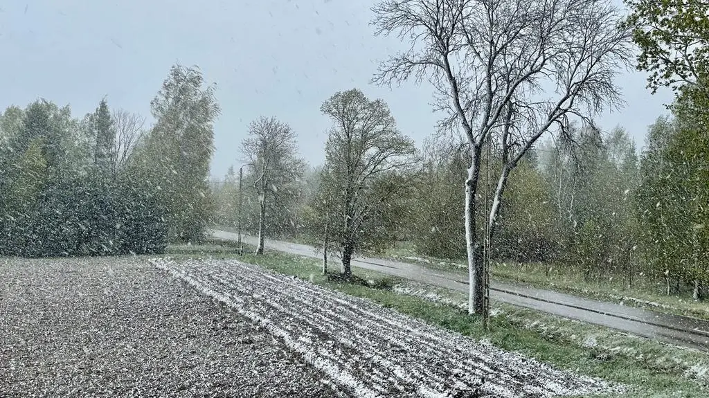 Sypie śnieg. Wasze zdjęcia i nagrania