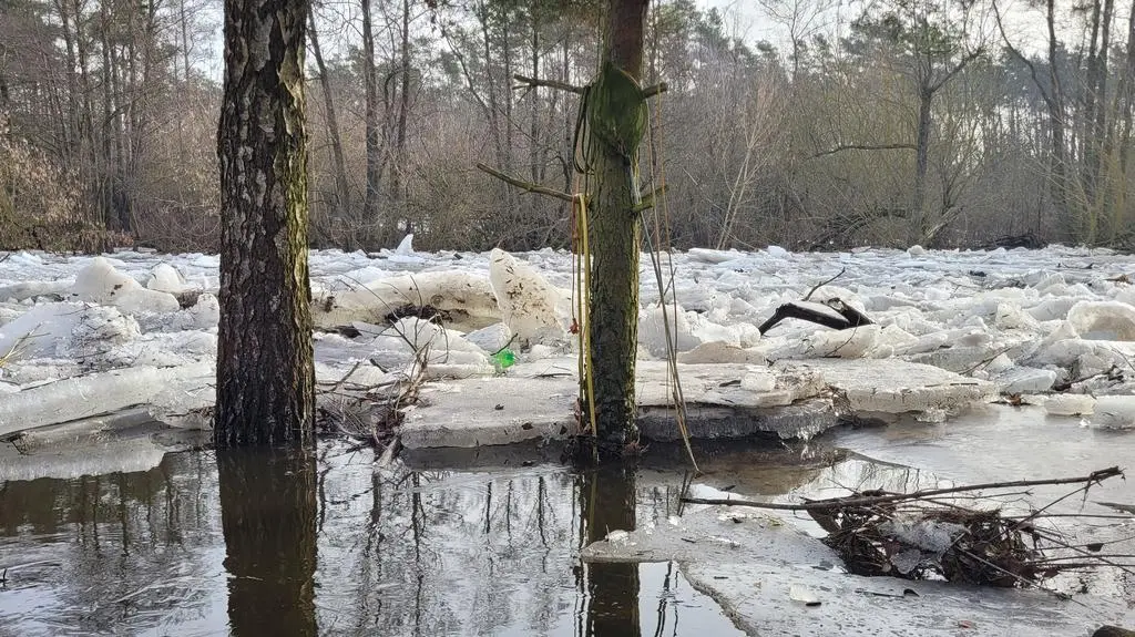 Wkra, Błędowo