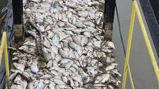 Kanał doprowadzający wodę do EC Siekierki