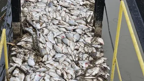 Kanał doprowadzający wodę do EC siekierki