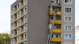 Strażacy uratowali zaplątanego w siatkę balkonową ptaka