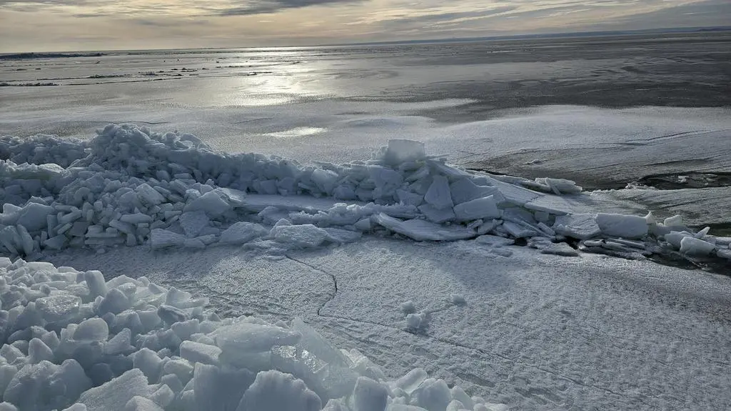 20240121_113348
