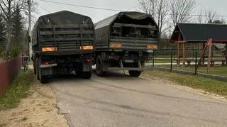 Potrącony żubr w Starym Misiewie