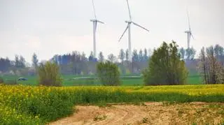 Wiosenna pogoda i pięknie kwitnący rzepak w okolicach Duninowa na Pomorzu! 