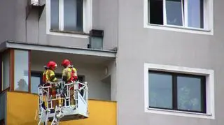 Strażacy uratowali zaplątanego w siatkę balkonową ptaka