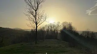 Pył saharyjski, Sieniawa