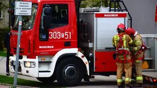 Strażacy uratowali zaplątanego w siatkę balkonową ptaka