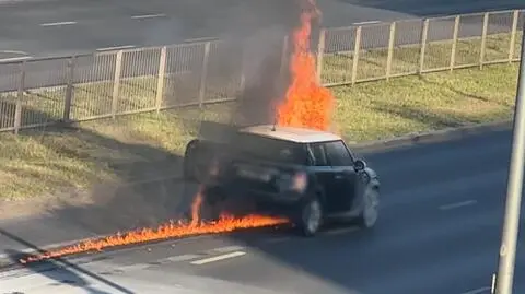 Auto spłonęło doszczętnie