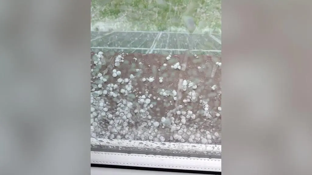 Grad w Sosnowcu (Śląskie)