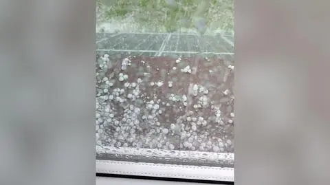 Grad w Sosnowcu (Śląskie)