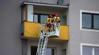 Strażacy uratowali zaplątanego w siatkę balkonową ptaka