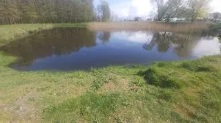 Wiosna w Świnoujściu