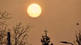 Do Ustki dotarł pył znad Sahary