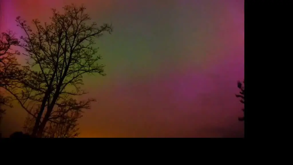 1679e227-ee91-4985-99e1-1f8559ddbb55_VID_20240511_094501