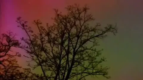 1679e227-ee91-4985-99e1-1f8559ddbb55_VID_20240511_094501