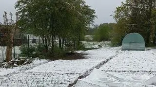 Pogodowa niespodzianka w Białogardzie
