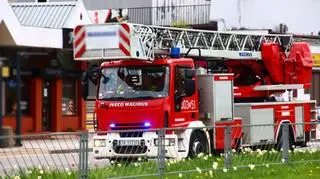 Strażacy uratowali zaplątanego w siatkę balkonową ptaka
