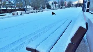 cf50d8d3-0dc7-4001-98c4-d4781bdd255c