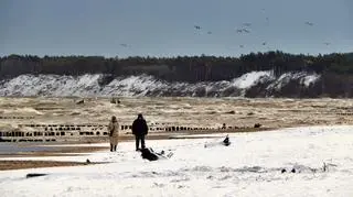 39289fa3-3846-497e-a0e3-38a38664603b kopia