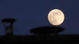 Pełnia Wilczego Księżyca
