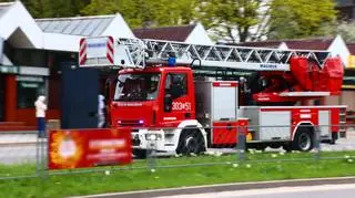 Strażacy uratowali zaplątanego w siatkę balkonową ptaka