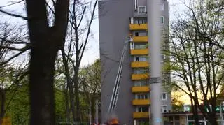 Strażacy uratowali zaplątanego w siatkę balkonową ptaka