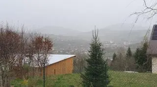 Pyły w Mszanie Dolnej (Małopolskie)