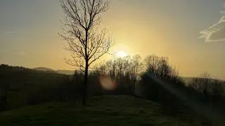 Pył saharyjski, Sieniawa
