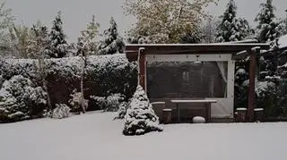 Zimowy poranek w miejscowości Zagórnik 