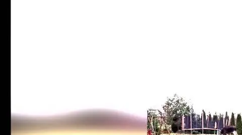 3545dee6-4751-4e6a-a0b5-e69a2c05f774_łoś2