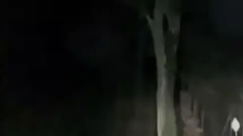 Biały daniel w Wielkopolsce