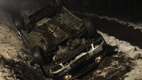 Dachowała, by ominąć sarnę