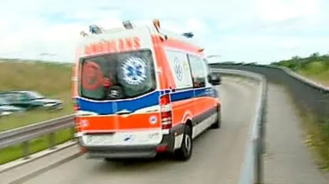 Bernardyn poszarpał twarz 12-latce