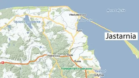 Awionetka uderzyła w drzewo