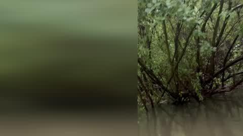 Skutki deszczu w warszawskim Wilanowie, Błonia Wilanowskie