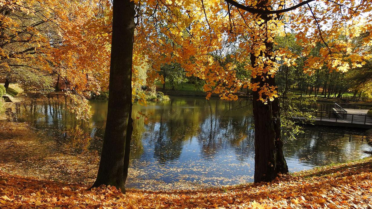 Pogoda na 5 dni. Rozgości się u nas wyż znad Bałkanów