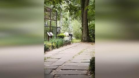 Zdarzenie w ZOO w Poznaniu