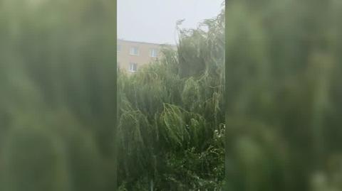 Burza w Gdyni 