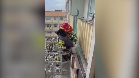 Strażacy ratujący gołębia zaplątanego w siatkę, Tarchomin 