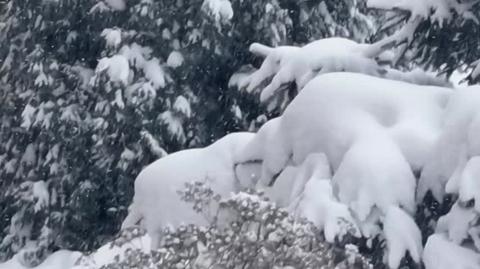 CHORZÓW POD ŚNIEGIEM