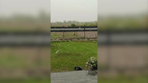 Opady śniegu w Ełku 