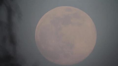 Superpełnia różowego Księżyca