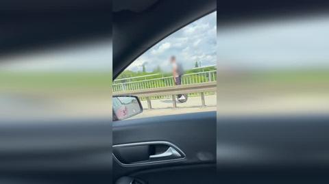 60 km/h monocyklem po chodniku, Poznań