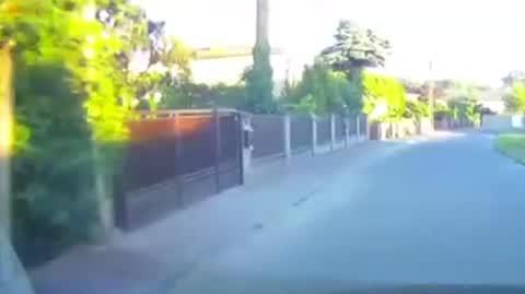 Dziecko na rowerze na pasach