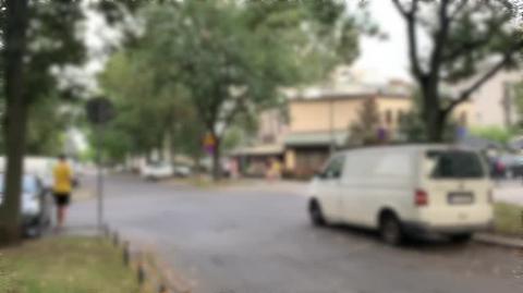 Syreny na Saskiej Kępie w Warszawie